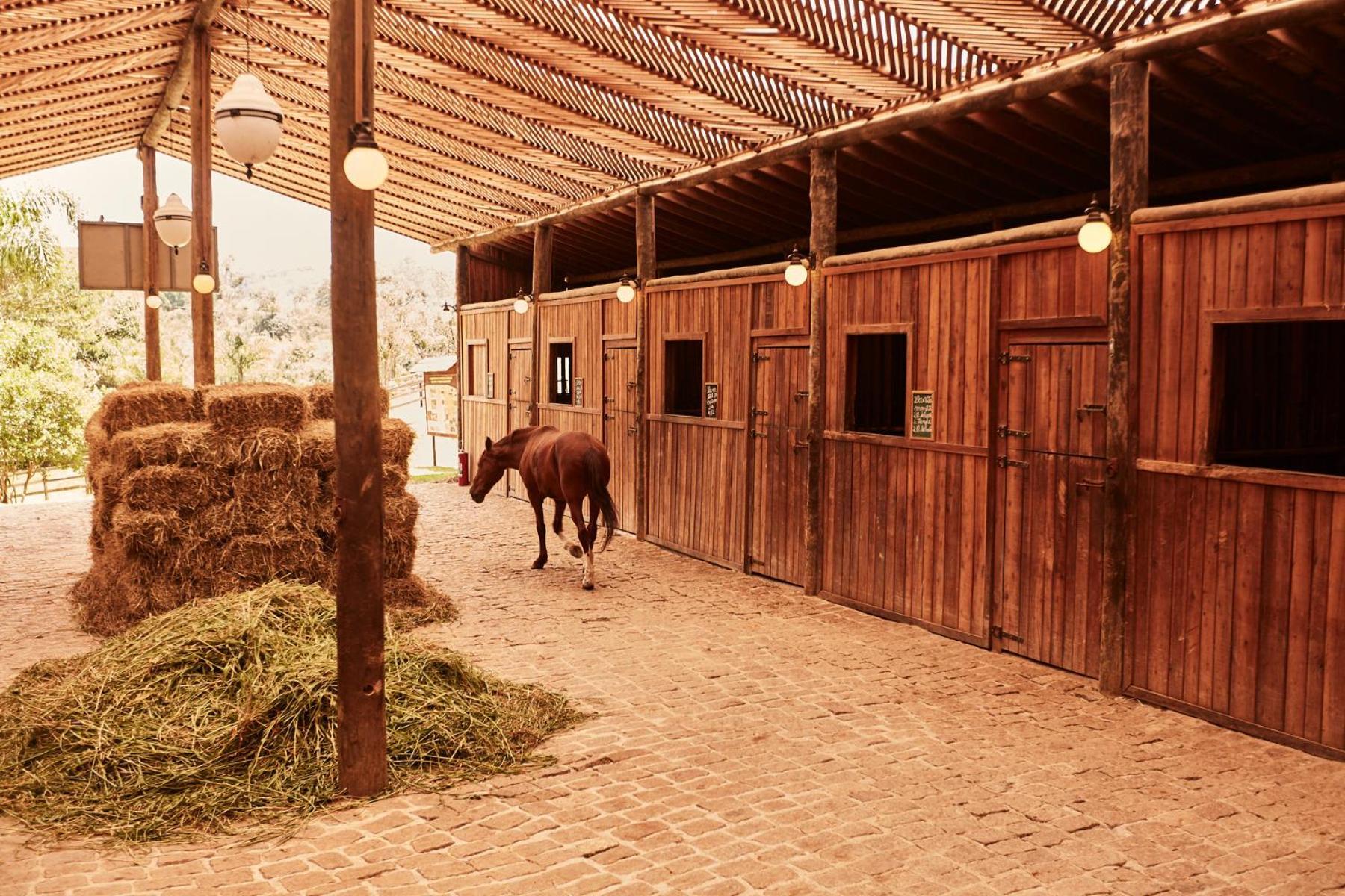 Hotel Fazenda Morros Verdes Ecolodge Ibiúna 外观 照片