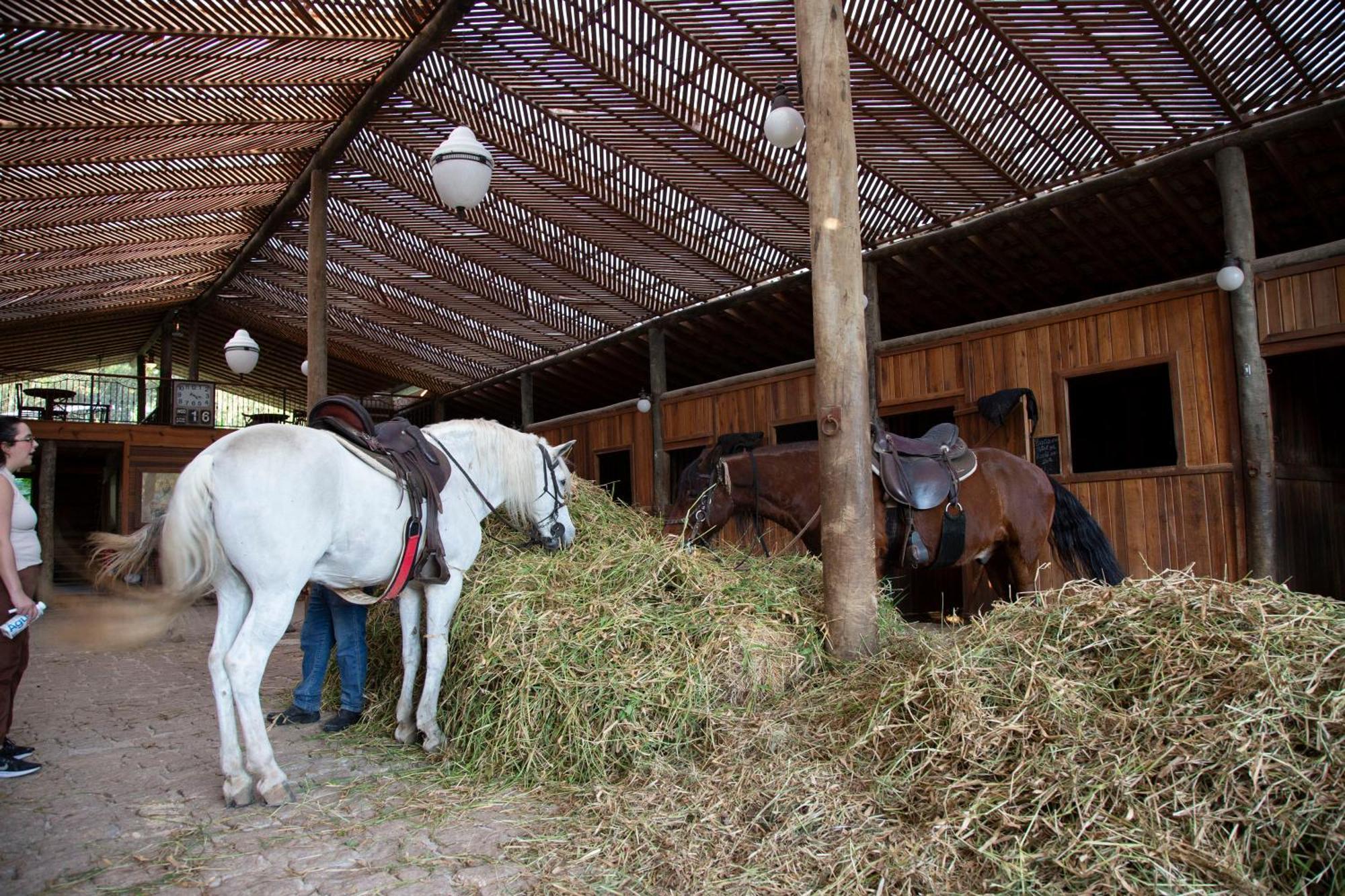 Hotel Fazenda Morros Verdes Ecolodge Ibiúna 外观 照片