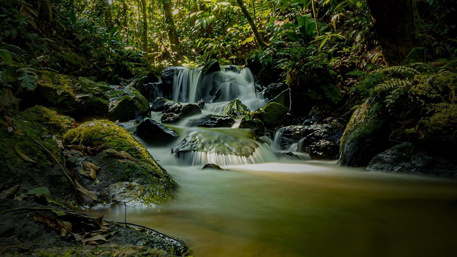 Hotel Fazenda Morros Verdes Ecolodge Ibiúna 外观 照片